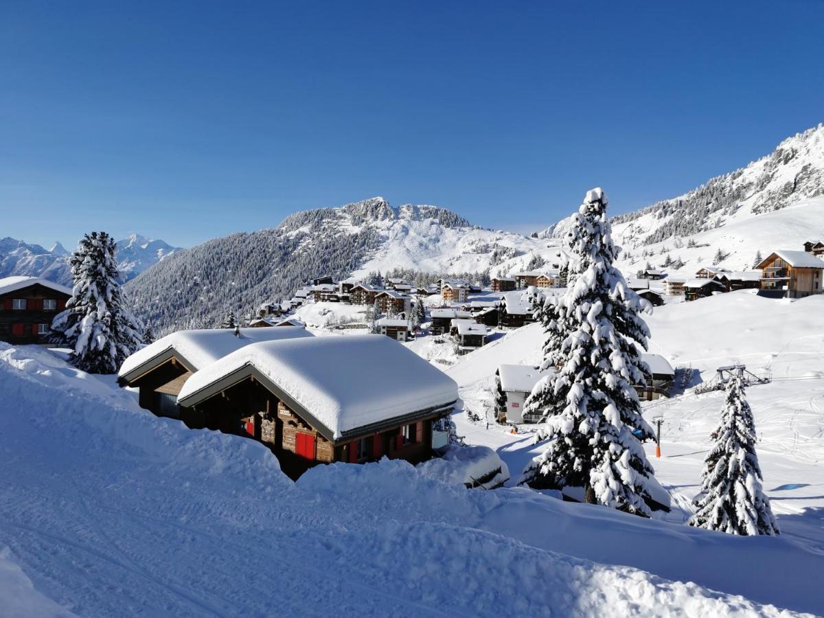 Chalet Enzian Riederalp Exterior foto