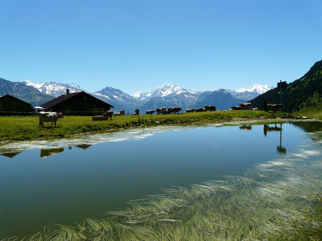 Chalet Enzian Riederalp Exterior foto