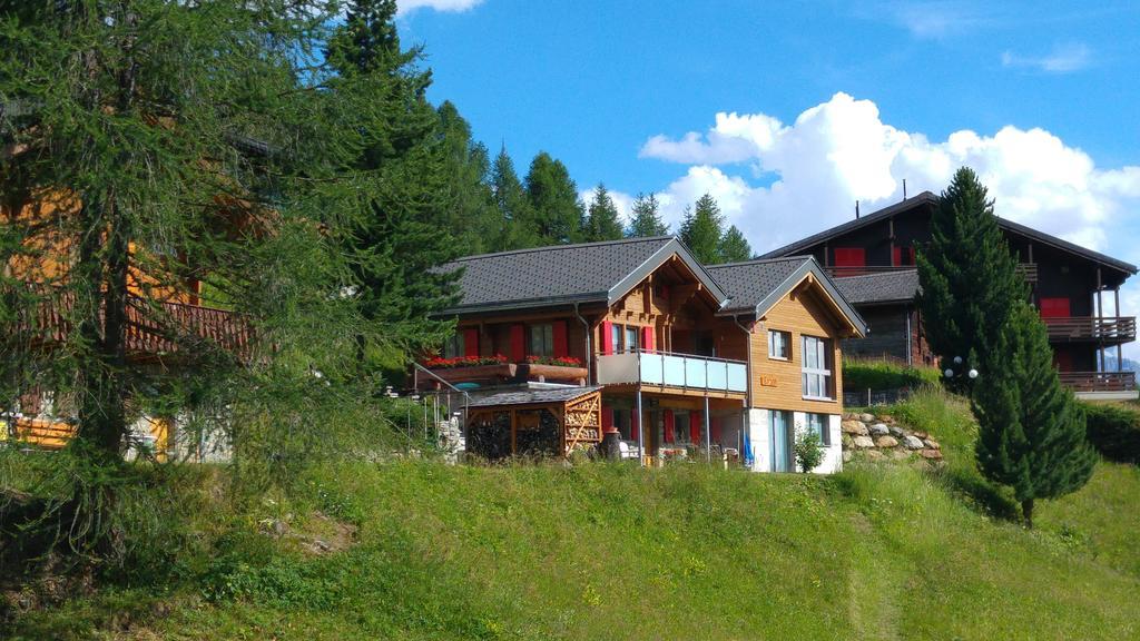Chalet Enzian Riederalp Exterior foto